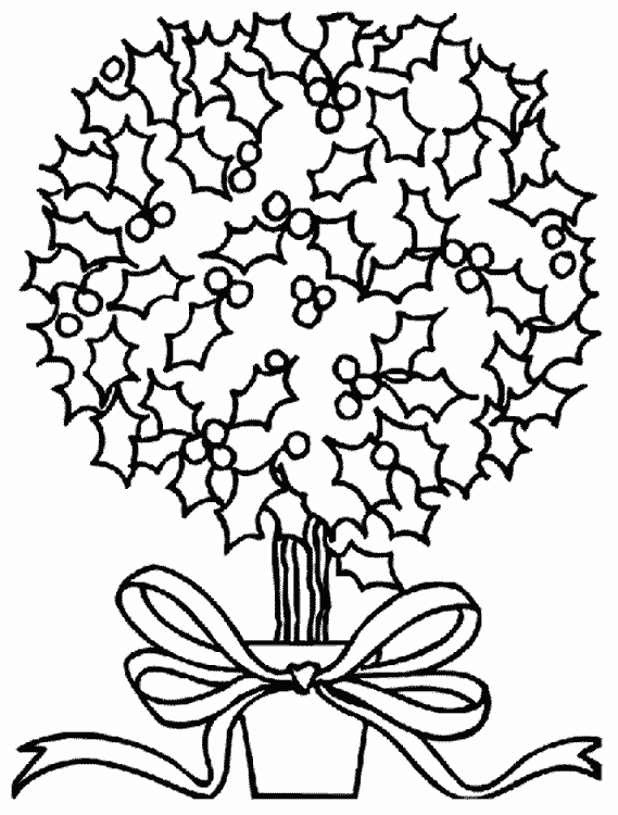 Arbusto de acebo de Navidad