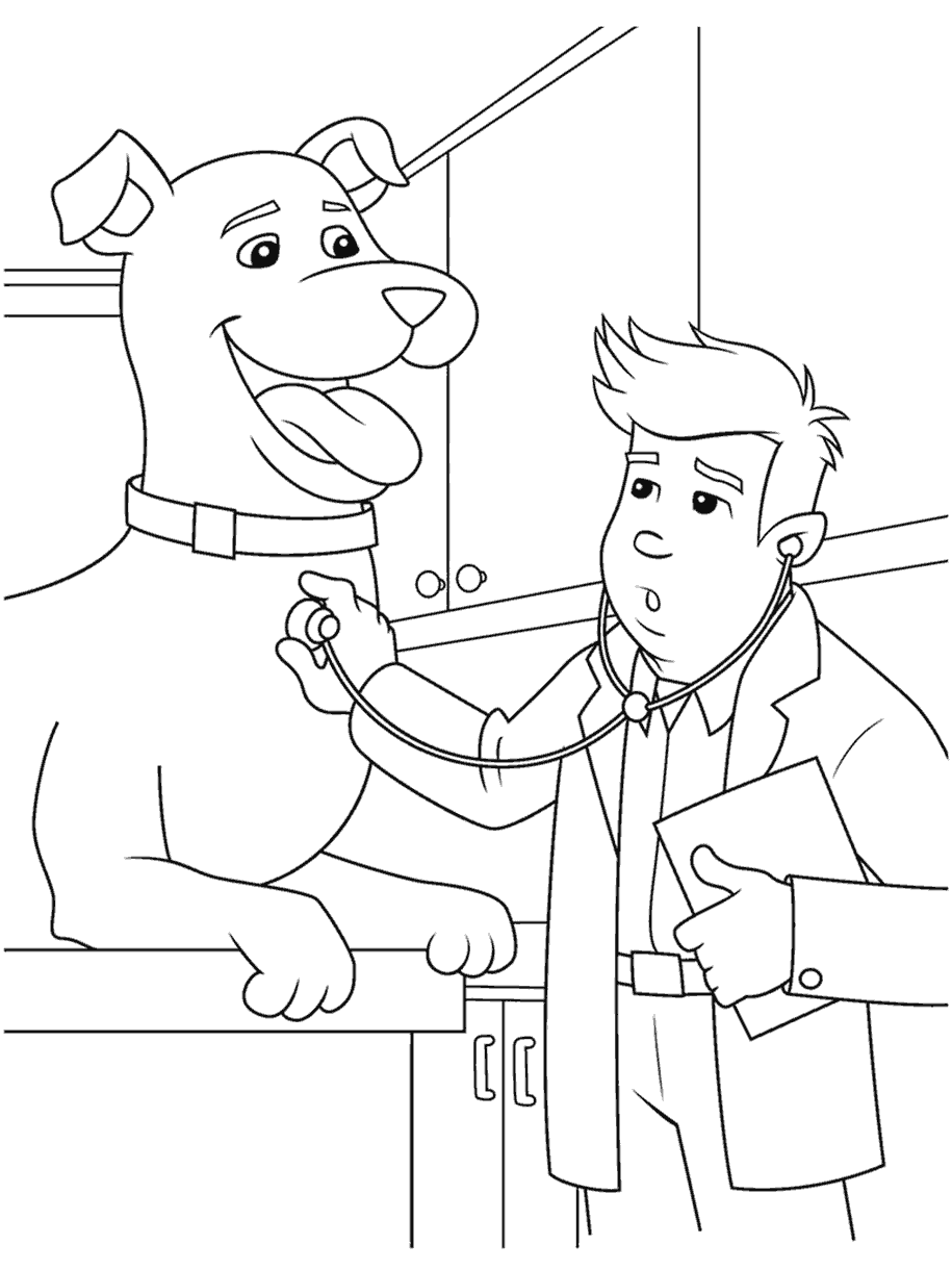 Veterinarian