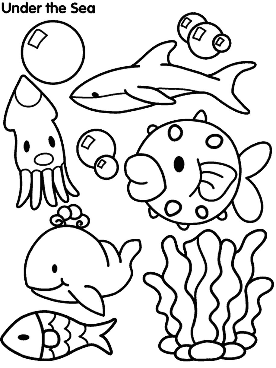 Undersea Creatures