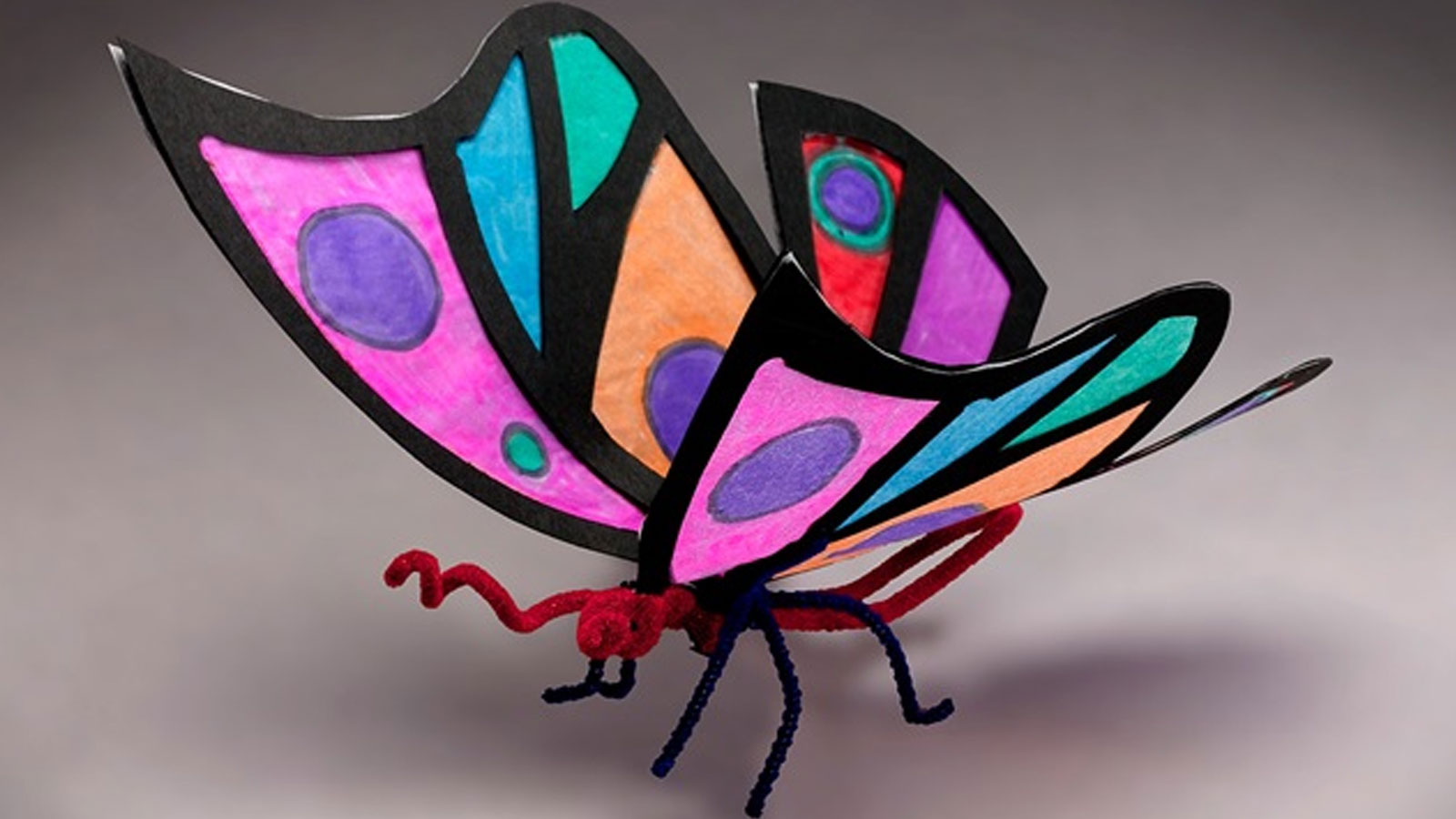 Rainforest Butterfly