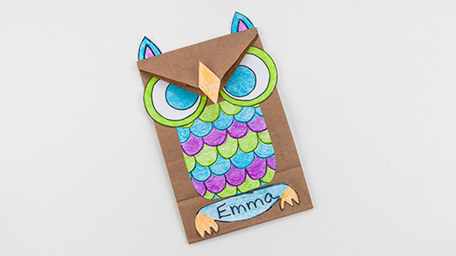 Owl Lunch Bag