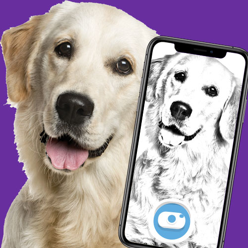 color camera app