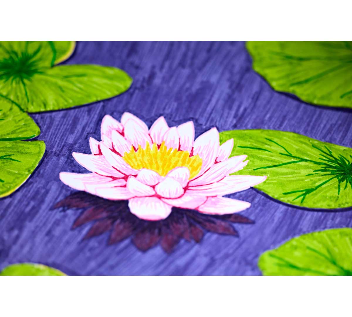 Color & Detail Markers. 50 count. pink flower in pond with lily pads.